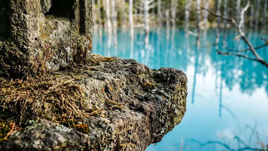 Makroaufnahme eines Materialdetails am Wahrzeichen Blauer Teich Biei, Biei Japan
