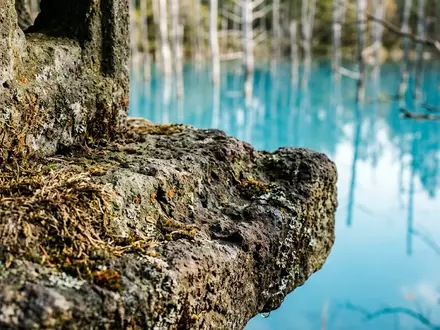 Extreme Makroaufnahme eines Materialdetails am Wahrzeichen Blauer Teich Biei in Biei Japan, taktile Struktur und - Foto: THN