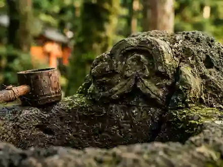 Extreme Makroaufnahme eines Materialdetails am Wahrzeichen Hakone-Schrein in Hakone Japan, taktile Struktur und weiches Seitenlicht - Foto: THN