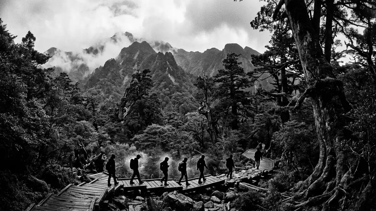 Schwarzweiss-Reportage vom Wahrzeichen Yakushima in Yakushima, Japan