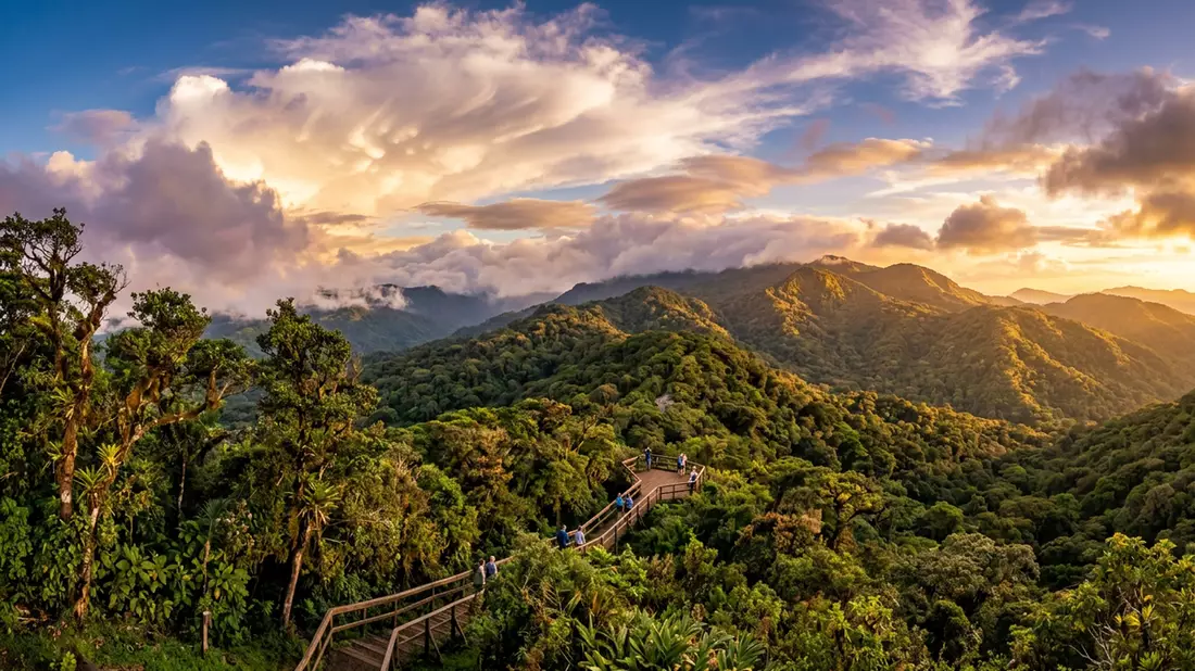 Fotorealistische Ansicht von Nebelwald Santa Elena in Monteverde, Costa Rica im Abendlicht