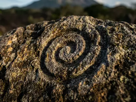 Extreme Makroaufnahme eines Materialdetails am Wahrzeichen Ometepe-Insel in Ometepe Nicaragua, taktile Struktur und weiches Seitenlicht - Foto: THN