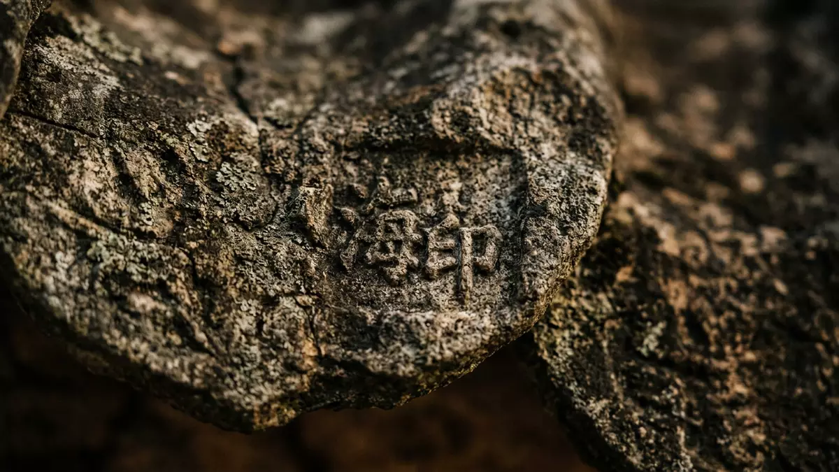 Makroaufnahme eines Materialdetails am Wahrzeichen Haeinsa-Tempel, Hapcheon Sudkorea