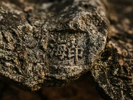 Extreme Makroaufnahme eines Materialdetails am Wahrzeichen Haeinsa-Tempel in Hapcheon Sudkorea, taktile Struktur und weiches Seitenlicht - Foto: THN