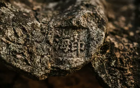 Extreme Makroaufnahme eines Materialdetails am Wahrzeichen Haeinsa-Tempel in Hapcheon Sudkorea, taktile Struktur und weiches Seitenlicht - Foto: THN