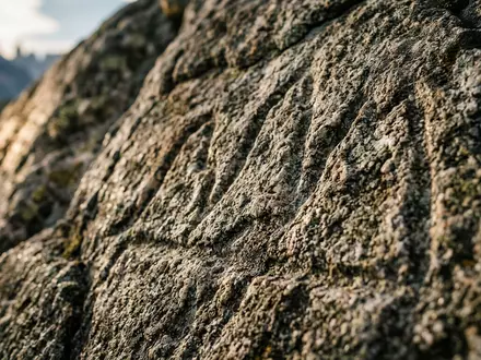 Extreme Makroaufnahme eines Materialdetails am Wahrzeichen Torres-del-Paine-Nationalpark in Puerto Natales Chile, taktile Struktur und weiches - Foto: THN