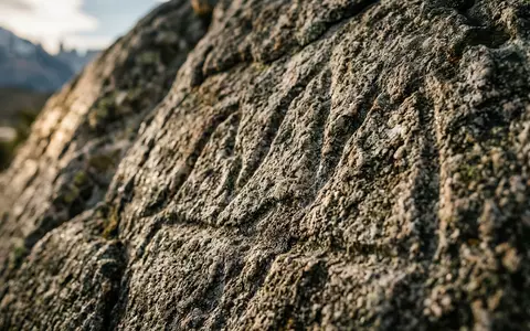 Extreme Makroaufnahme eines Materialdetails am Wahrzeichen Torres-del-Paine-Nationalpark in Puerto Natales Chile, taktile Struktur und weiches - Foto: THN