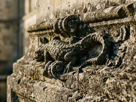 Extreme Makroaufnahme eines Materialdetails am Wahrzeichen Schloss Fontainebleau in Fontainebleau Frankreich, taktile Struktur und weiches - Foto: THN
