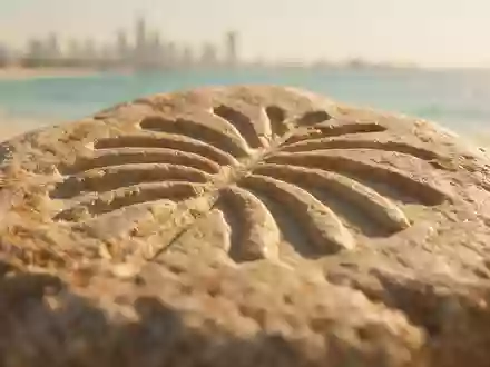 Extreme Makroaufnahme eines Materialdetails am Wahrzeichen Palm Jumeirah in Dubai VAE, taktile Struktur und weiches - Foto: THN