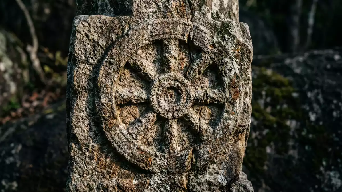 Makroaufnahme eines Materialdetails am Wahrzeichen Yala-Nationalpark, Tissamaharama Sri Lanka