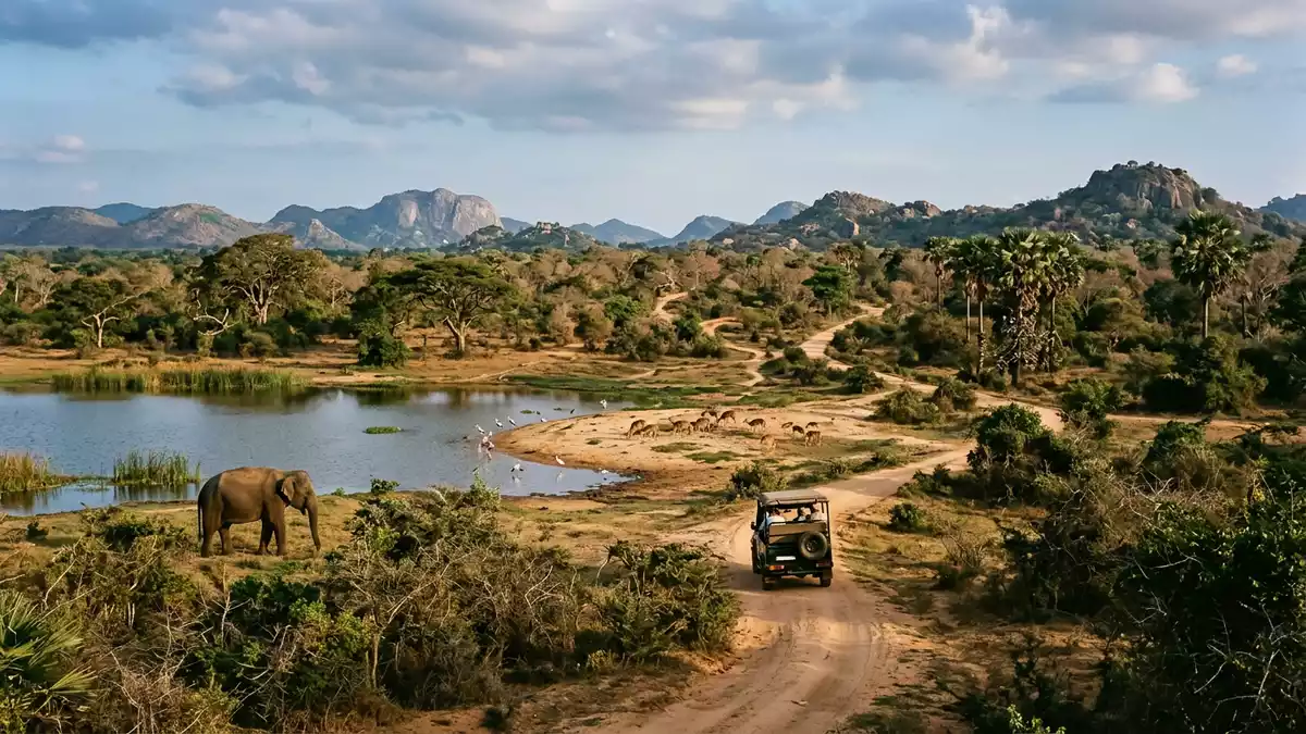 Editorial-Reisemagazinbild vom Wahrzeichen Yala-Nationalpark in Tissamaharama, Sri Lanka
