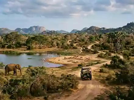 Editorialbild im Reisemagazin-Stil vom Wahrzeichen Yala-Nationalpark in Tissamaharama Sri Lanka, ausgewogene Bildgestaltung und natuerliches Umgebungslicht - Foto: THN