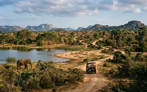 Editorialbild im Reisemagazin-Stil vom Wahrzeichen Yala-Nationalpark in Tissamaharama Sri Lanka, ausgewogene Bildgestaltung und natuerliches Umgebungslicht - Foto: THN