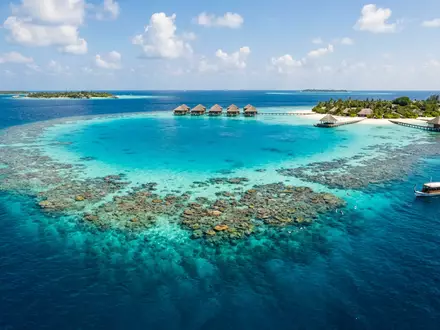 Editorialbild im Reisemagazin-Stil vom Wahrzeichen Banana Reef in Nord-Male-Atoll Malediven, ausgewogene Bildgestaltung und natuerliches Umgebungslicht - Foto: THN