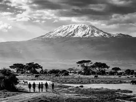 Schwarzweiss-Reportagebild vom Wahrzeichen Amboseli-Nationalpark in Amboseli Kenia, dokumentarische Reisefotografie mit starken Kontrasten - Foto: THN