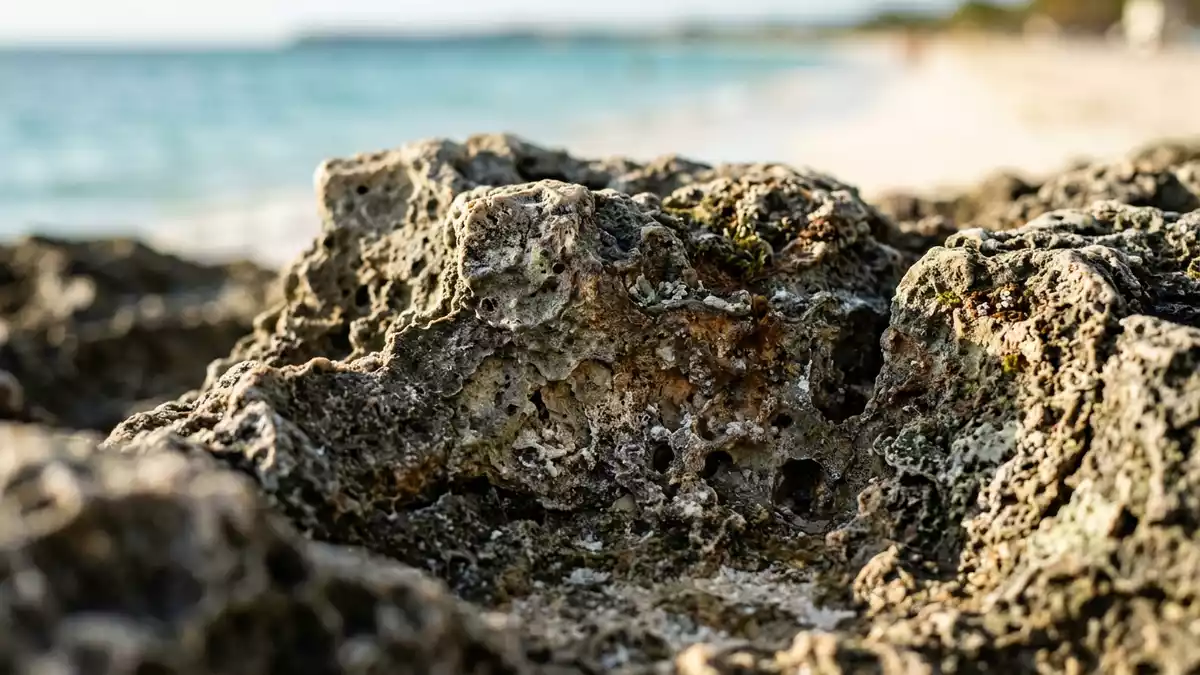 Makroaufnahme eines Materialdetails am Wahrzeichen Seven Mile Beach, Negril Jamaika