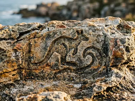 Extreme Makroaufnahme eines Materialdetails am Wahrzeichen Kangaroo Island in Kingscote Australien, taktile Struktur und weiches - Foto: THN