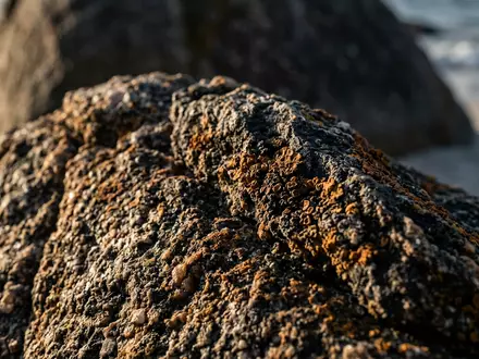 Extreme Makroaufnahme eines Materialdetails am Wahrzeichen Boulders Beach in Simon's Town Sudafrika, taktile Struktur und - Foto: THN