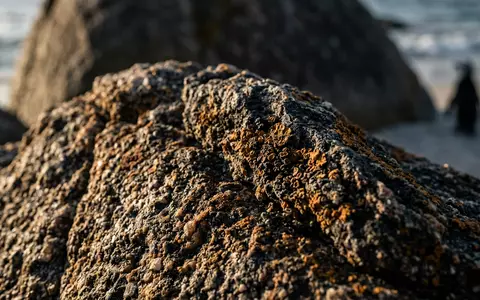 Extreme Makroaufnahme eines Materialdetails am Wahrzeichen Boulders Beach in Simon's Town Sudafrika, taktile Struktur und - Foto: THN