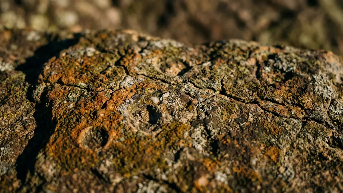 Makroaufnahme eines Materialdetails am Wahrzeichen Drakensberge, Winterton Sudafrika