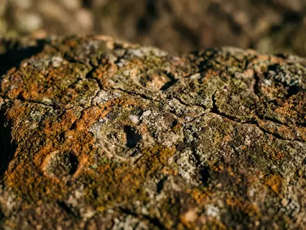 Extreme Makroaufnahme eines Materialdetails am Wahrzeichen Drakensberge in Winterton Sudafrika, taktile Struktur und weiches Seitenlicht - Foto: THN