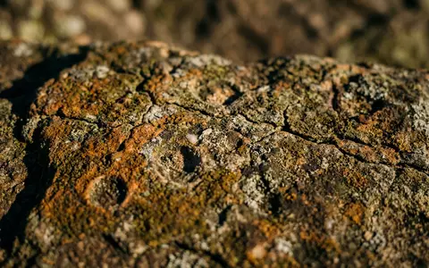 Extreme Makroaufnahme eines Materialdetails am Wahrzeichen Drakensberge in Winterton Sudafrika, taktile Struktur und weiches Seitenlicht - Foto: THN