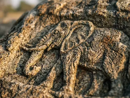 Extreme Makroaufnahme eines Materialdetails am Wahrzeichen Chobe-Nationalpark in Kasane Botswana, taktile Struktur und weiches Seitenlicht - Foto: THN