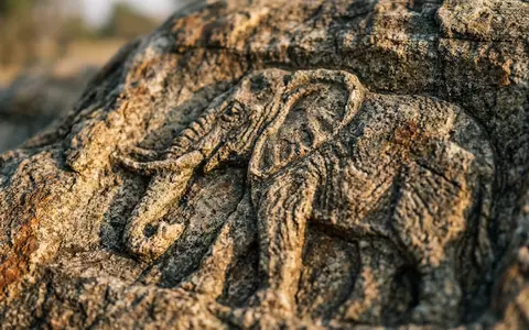 Extreme Makroaufnahme eines Materialdetails am Wahrzeichen Chobe-Nationalpark in Kasane Botswana, taktile Struktur und weiches Seitenlicht - Foto: THN