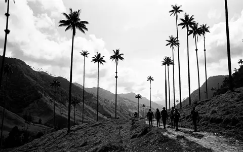 Schwarzweiss-Reportagebild vom Wahrzeichen Cocora-Tal in Salento Kolumbien, dokumentarische Reisefotografie mit starken Kontrasten - Foto: THN
