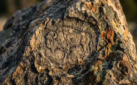 Extreme Makroaufnahme eines Materialdetails am Wahrzeichen Yellowstone-Nationalpark in Yellowstone USA, taktile Struktur und weiches Seitenlicht - Foto: THN