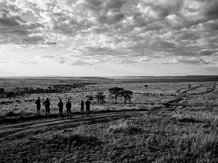 Schwarzweiss-Reportagebild vom Wahrzeichen Serengeti-Nationalpark in Serengeti Tansania, dokumentarische Reisefotografie mit starken Kontrasten - Foto: THN