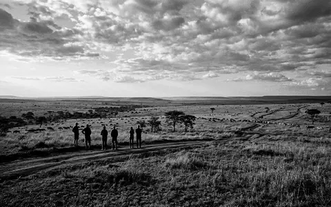 Schwarzweiss-Reportagebild vom Wahrzeichen Serengeti-Nationalpark in Serengeti Tansania, dokumentarische Reisefotografie mit starken Kontrasten - Foto: THN
