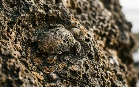 Extreme Makroaufnahme eines Materialdetails am Wahrzeichen Bocas del Toro in Bocas del Toro Panama, taktile - Foto: THN