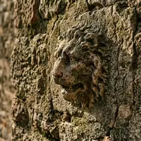 Extreme Makroaufnahme eines Materialdetails am Wahrzeichen Sirmione am Gardasee in Sirmione Italien, taktile Struktur und - Foto: THN