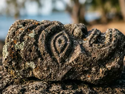 Extreme Makroaufnahme eines Materialdetails am Wahrzeichen Moorea in Moorea Franzosisch-Polynesien, taktile Struktur und weiches Seitenlicht - Foto: THN