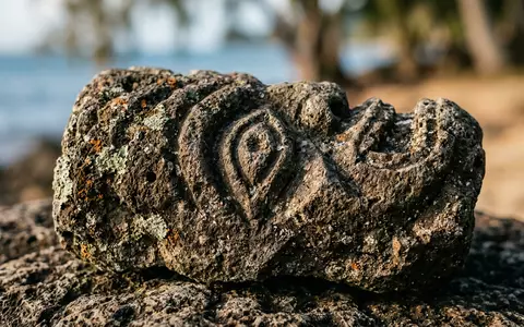 Extreme Makroaufnahme eines Materialdetails am Wahrzeichen Moorea in Moorea Franzosisch-Polynesien, taktile Struktur und weiches Seitenlicht - Foto: THN