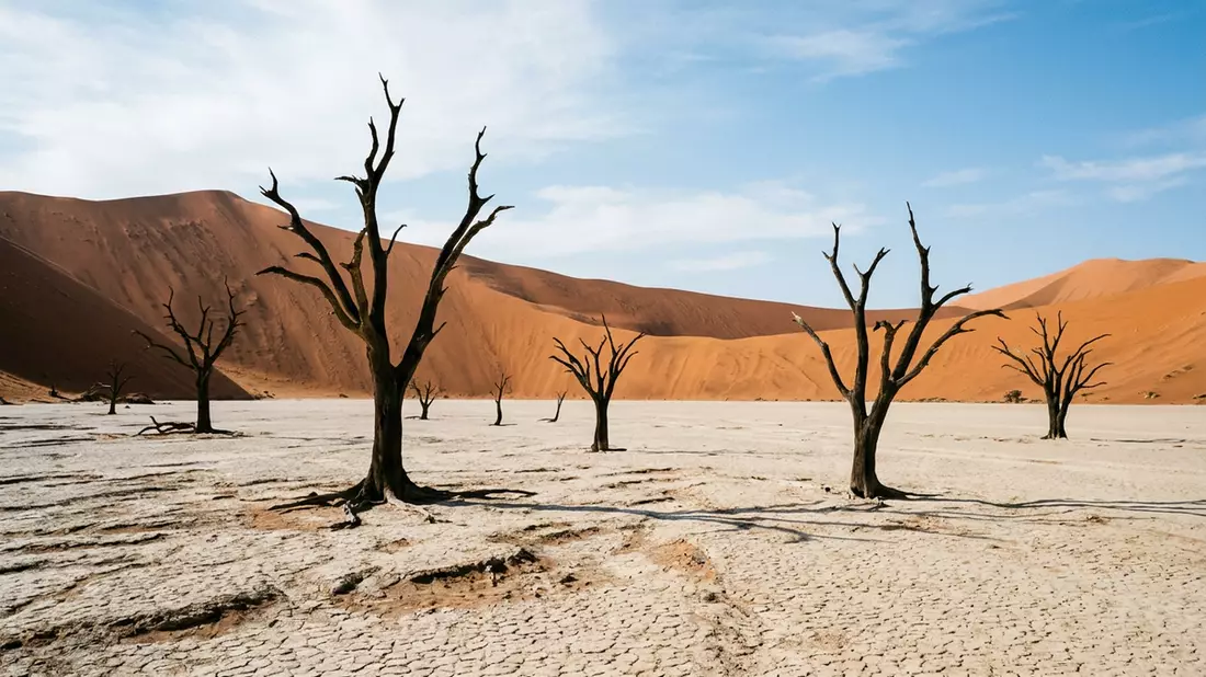 Editorial-Reisemagazinbild vom Wahrzeichen Deadvlei in Namib-Naukluft, Namibia
