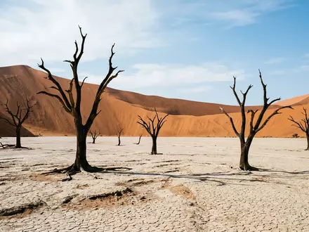 Editorialbild im Reisemagazin-Stil vom Wahrzeichen Deadvlei in Namib-Naukluft Namibia, ausgewogene Bildgestaltung und natuerliches Umgebungslicht - Foto: THN