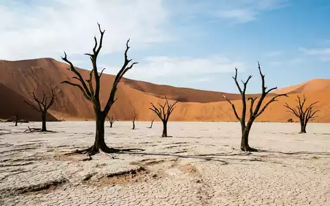 Editorialbild im Reisemagazin-Stil vom Wahrzeichen Deadvlei in Namib-Naukluft Namibia, ausgewogene Bildgestaltung und natuerliches Umgebungslicht - Foto: THN