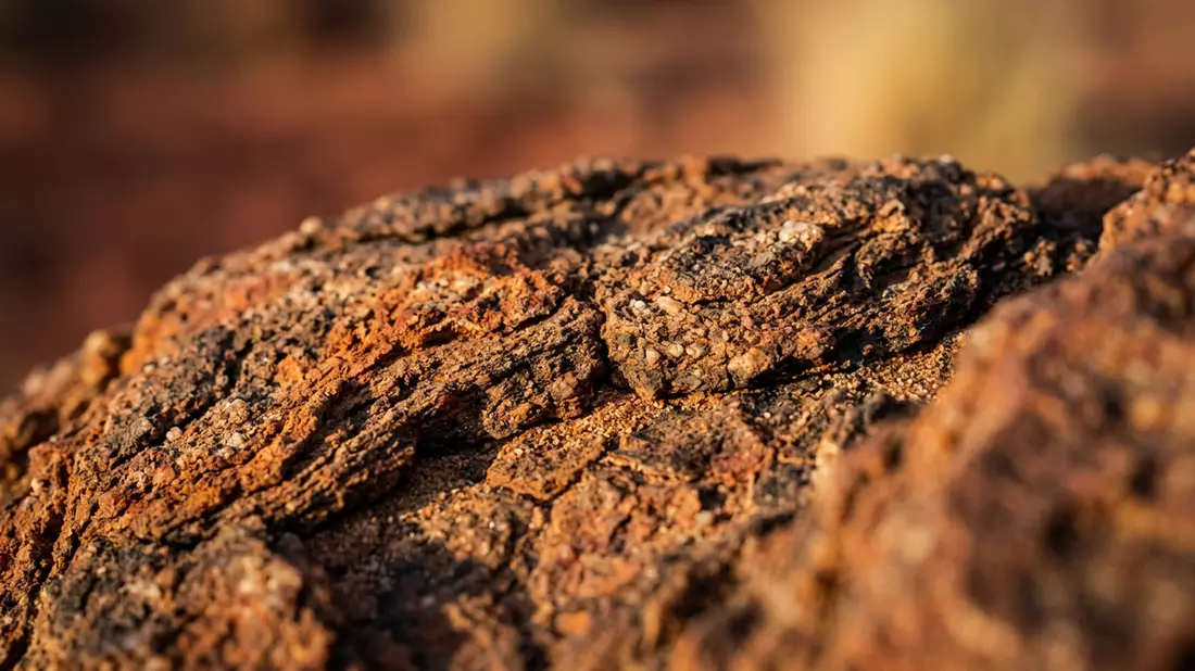 Makroaufnahme eines Materialdetails am Wahrzeichen Sossusvlei, Namib-Naukluft Namibia