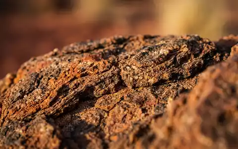 Extreme Makroaufnahme eines Materialdetails am Wahrzeichen Sossusvlei in Namib-Naukluft Namibia, taktile Struktur und weiches Seitenlicht - Foto: THN