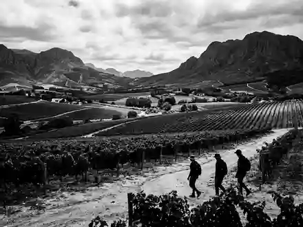 Schwarzweiss-Reportagebild vom Wahrzeichen Weinland Stellenbosch in Stellenbosch Sudafrika, dokumentarische Reisefotografie mit starken Kontrasten - Foto: THN