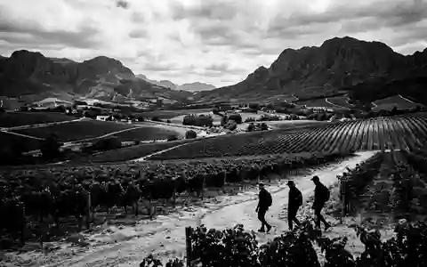 Schwarzweiss-Reportagebild vom Wahrzeichen Weinland Stellenbosch in Stellenbosch Sudafrika, dokumentarische Reisefotografie mit starken Kontrasten - Foto: THN