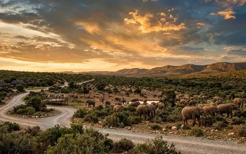 Fotorealistische Panoramaaufnahme von Addo-Elefanten-Nationalpark in Addo Sudafrika, warmes Abendlicht auf Wahrzeichen im Reisemotiv - Foto: THN