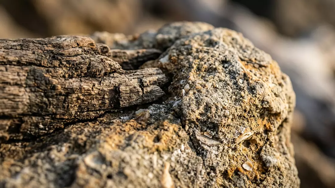 Makroaufnahme eines Materialdetails am Wahrzeichen iSimangaliso Wetland Park, St. Lucia Suda…