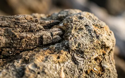 Extreme Makroaufnahme eines Materialdetails am Wahrzeichen iSimangaliso Wetland Park in St. Lucia Sudafrika, taktile Struktur - Foto: THN