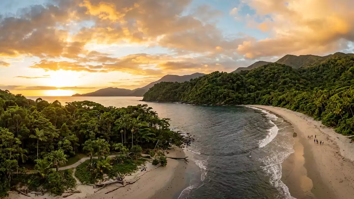 Fotorealistische Ansicht von Daintree Rainforest in Cape Tribulation, Australien im Abendlicht
