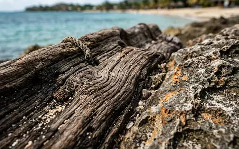 Extreme Makroaufnahme eines Materialdetails am Wahrzeichen West Bay Roatan in Roatan Honduras, taktile Struktur und - Foto: THN