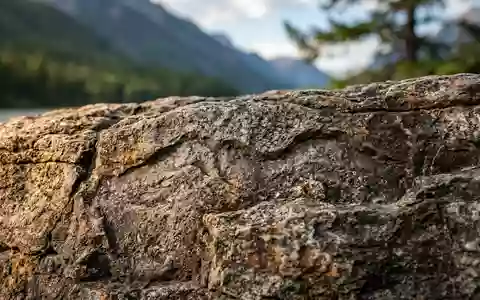 Extreme Makroaufnahme eines Materialdetails am Wahrzeichen Glacier-Nationalpark in West Glacier USA, taktile Struktur und weiches - Foto: THN