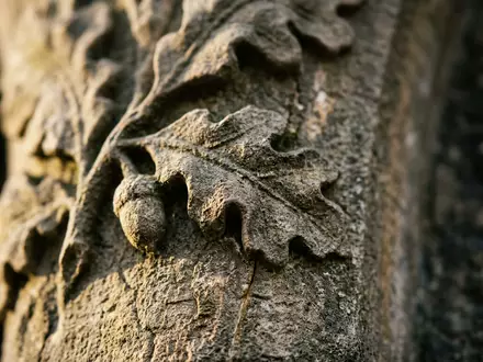 Extreme Makroaufnahme eines Materialdetails am Wahrzeichen Central Park New York in New York City USA - Foto: THN
